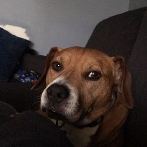 Meet your Posher, William